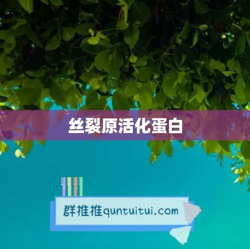 丝裂原活化蛋白-卡益网
