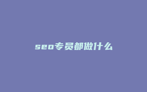 seo专员都做什么-卡益网