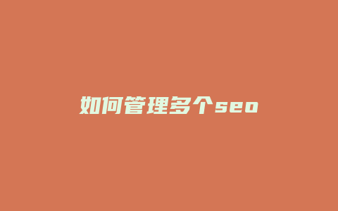 如何管理多个seo-卡益网