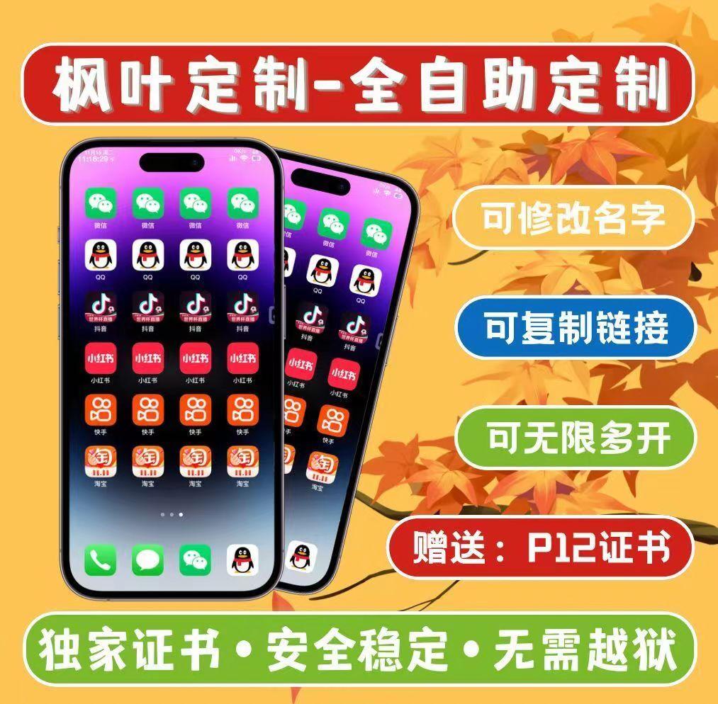 枫叶制官网-激活码购买以及下载-180天售后-UDID定制-卡益网