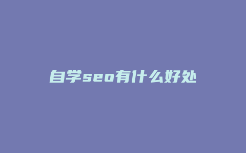 自学seo有什么好处-卡益网