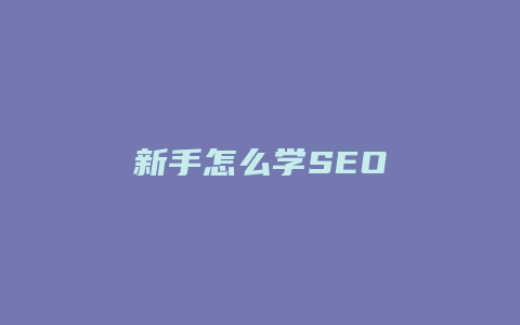 新手怎么学SEO-卡益网