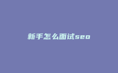 新手怎么面试seo-卡益网