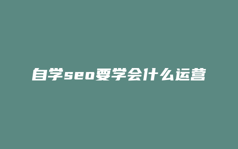 自学seo要学会什么运营-卡益网