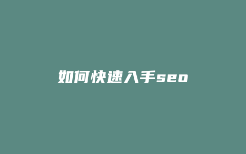 如何快速入手seo-卡益网