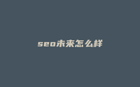 seo未来怎么样-卡益网