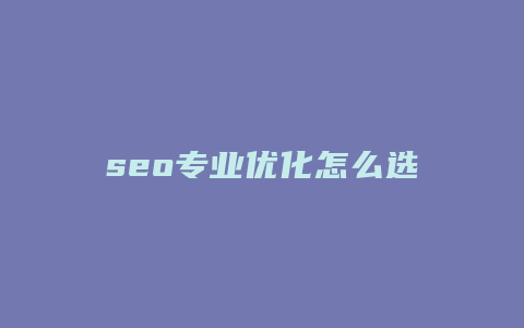 seo专业优化怎么选-卡益网