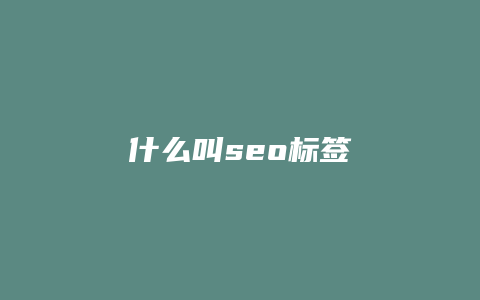 什么叫seo标签-卡益网