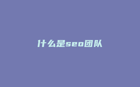 什么是seo团队-卡益网