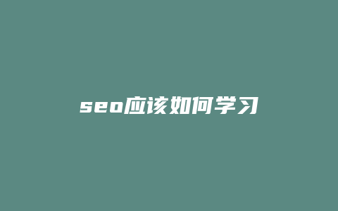 seo应该如何学习-卡益网
