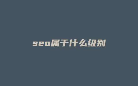 seo属于什么级别-卡益网