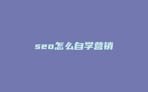 seo怎么自学营销-卡益网