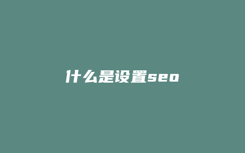 什么是设置seo-卡益网