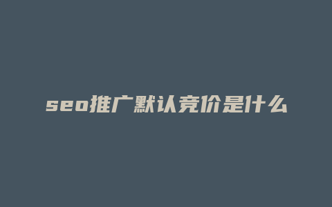 seo推广默认竞价是什么-卡益网