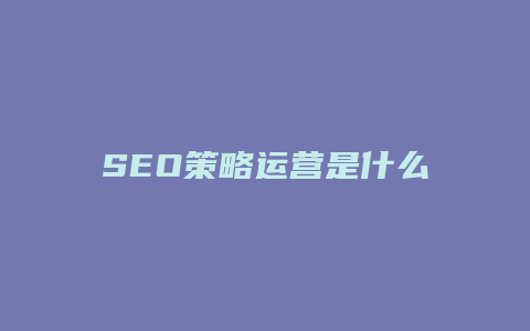 SEO策略运营是什么-卡益网