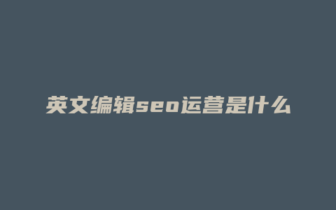 英文编辑seo运营是什么-卡益网