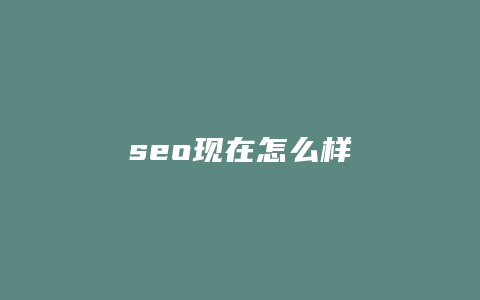 seo现在怎么样-卡益网