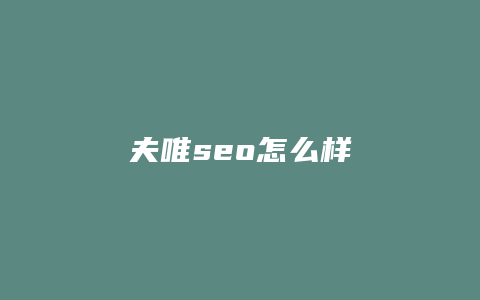 夫唯seo怎么样-卡益网