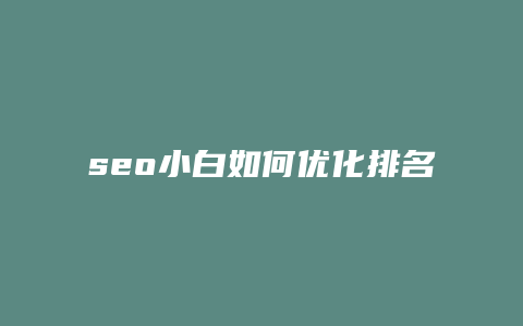 seo小白如何优化排名-卡益网
