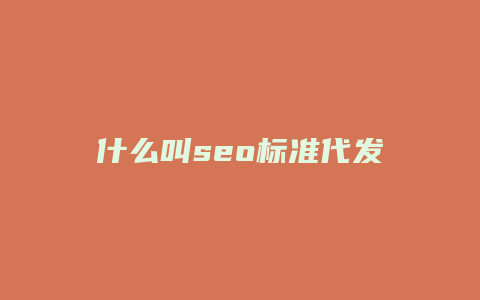 什么叫seo标准代发-卡益网