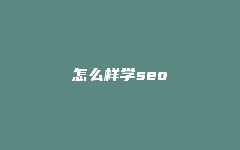 怎么样学seo-卡益网