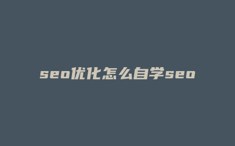 seo优化怎么自学seo-卡益网