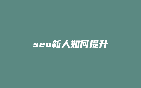 seo新人如何提升-卡益网