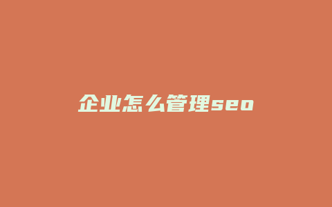 企业怎么管理seo-卡益网