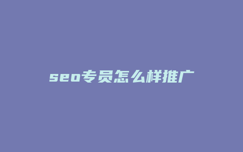 seo专员怎么样推广-卡益网
