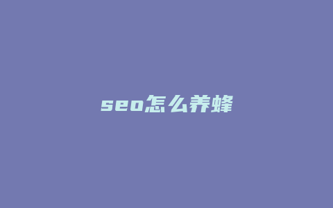 seo怎么养蜂-卡益网