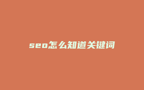 seo怎么知道关键词-卡益网