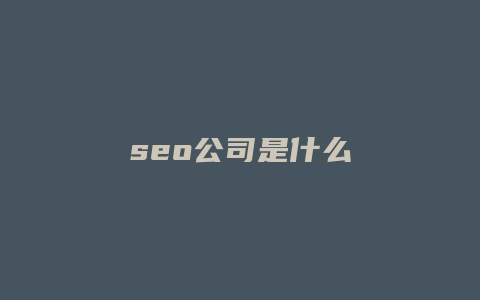 seo公司是什么-卡益网