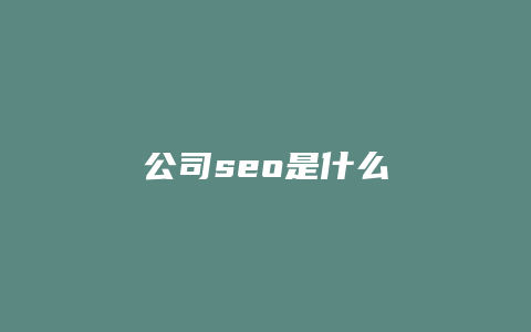 公司seo是什么-卡益网