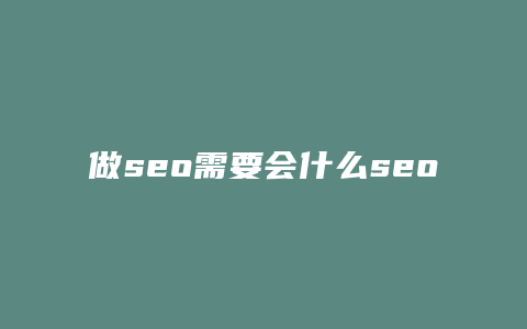 做seo需要会什么seo-卡益网