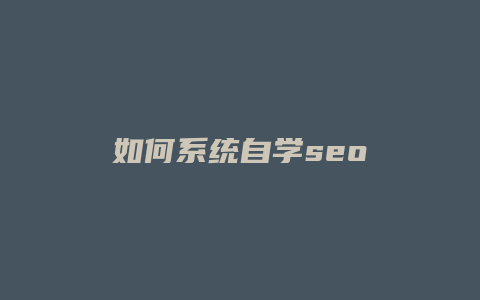 如何系统自学seo-卡益网