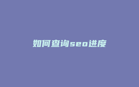 如何查询seo进度-卡益网