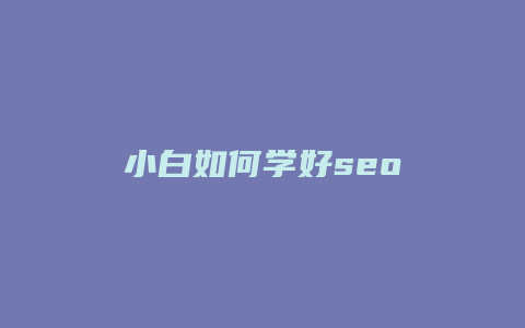 小白如何学好seo-卡益网