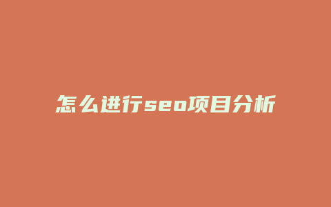 怎么进行seo项目分析-卡益网