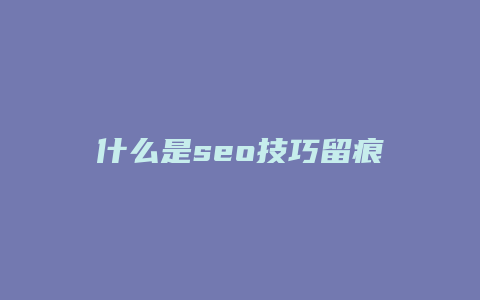 什么是seo技巧留痕-卡益网