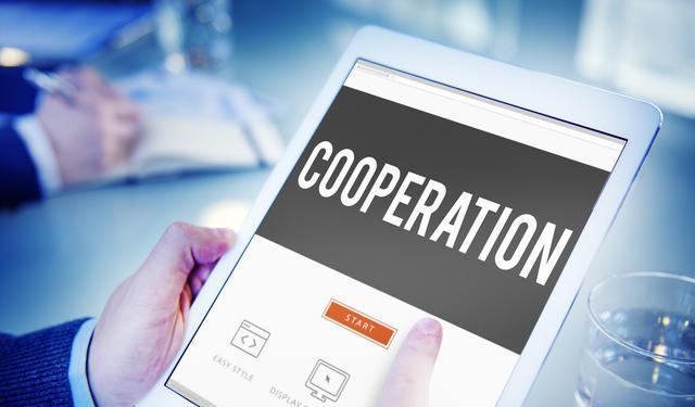 企业决策者需要了解的SEO基础知识？如何优化企业网站？-卡益网