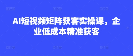 AI短视频矩阵获客实操课，企业低成本精准获客-卡益网
