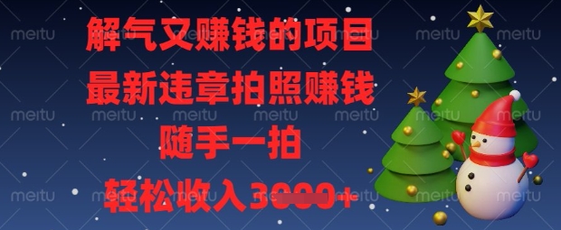 解气又挣钱的项目，最新违章拍照挣钱，随手一拍，轻松收入数张【揭秘】-卡益网