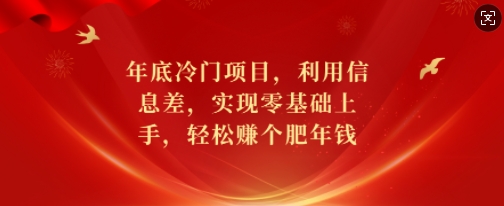 年底冷门项目，利用信息差，实现零基础上手，轻松赚个肥年钱【揭秘】-卡益网