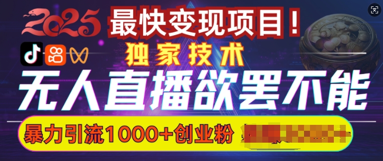 欲罢不能的无人直播引流，超暴力日引流1000+高质量精准创业粉-卡益网