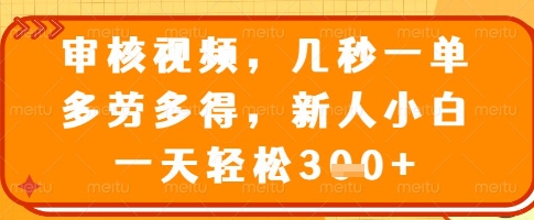 审核视频，几秒一单，多劳多得，新人小白一天轻松3张【揭秘】-卡益网