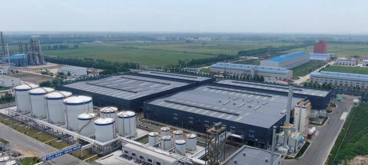 临邑网站建设如何选择合适的域名？