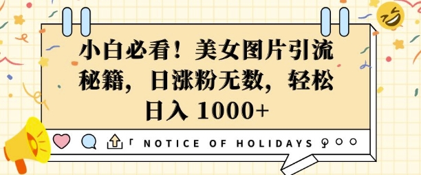 小白必看，美女图片引流秘籍，日涨粉无数，轻松日入几张【揭秘】-卡益网