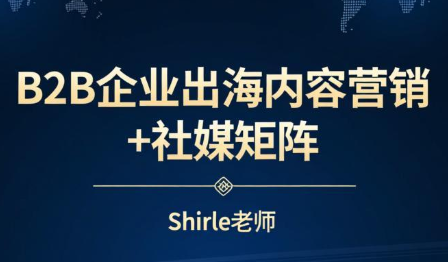 shirle老师·B2B企业出海内容营销+社媒矩阵-卡益网激活码商城