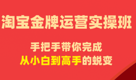 飓风电商·淘宝金牌运营实操班-卡益网激活码商城