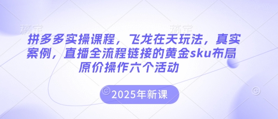 拼多多实操课程，飞龙在天玩法，真实案例，直播全流程链接的黄金sku布局原价操作六个活动-卡益网